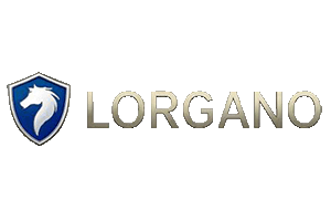 lorgano300200